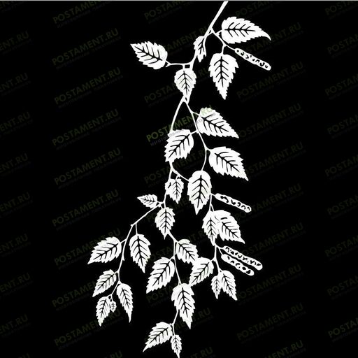 Ветвь березы для гравировка на могильный памятник