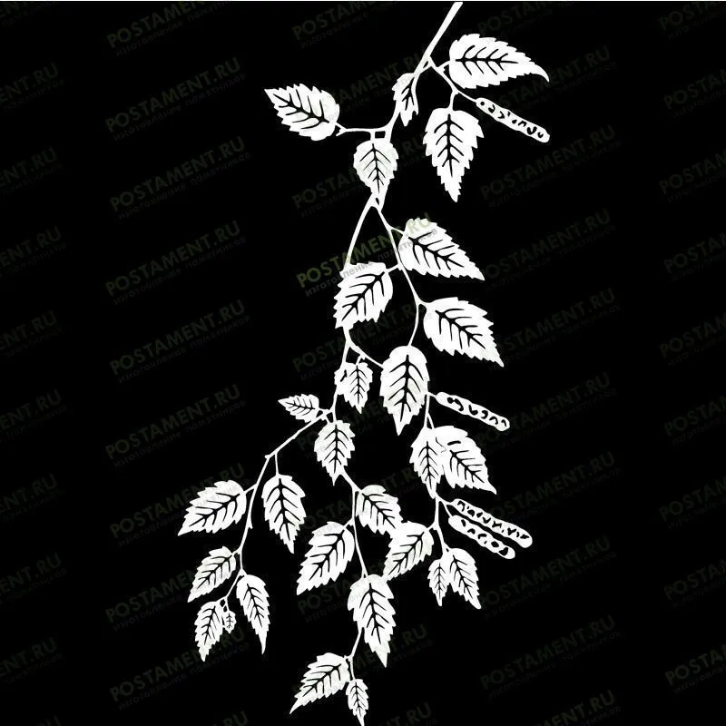 Ветвь березы для гравировка на могильный памятник