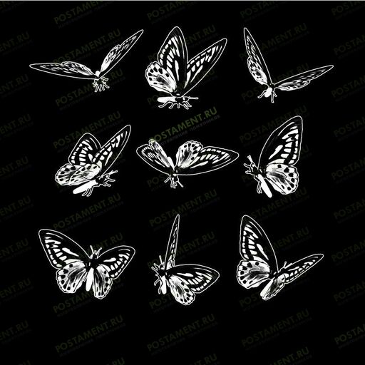 Образцы бабочек для гравировки на памятнике