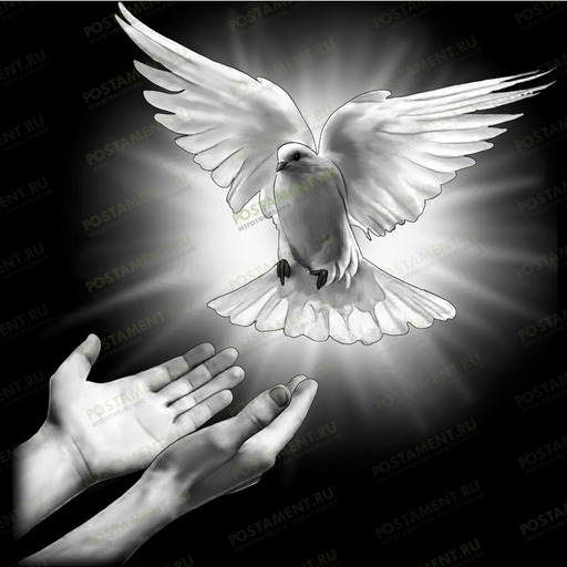 Голубь в ореоле для нанесения на памятник 91117