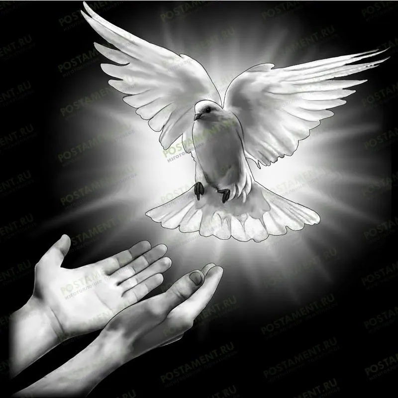 Голубь в ореоле для нанесения на памятник 91117