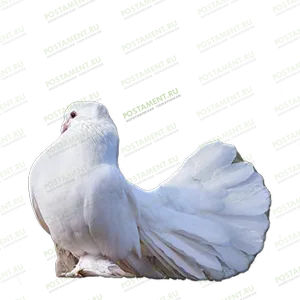 Голубь из керамики на памятник 91964