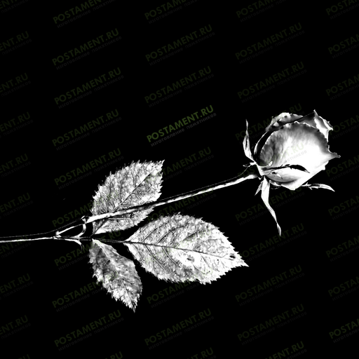 Гравировка роз под ФИО 91006