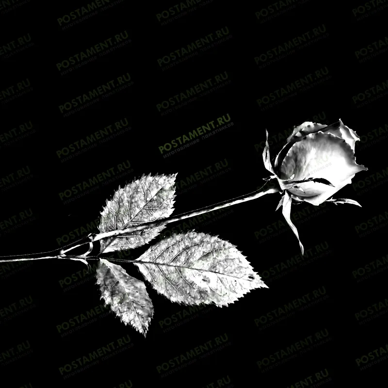 Гравировка роз под ФИО 91006