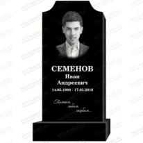 Рисунок 95317