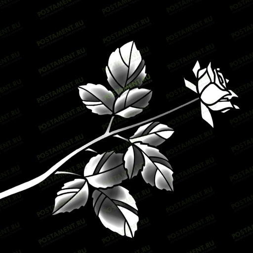 Розы на памятник молодой девушке 91007