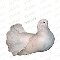 Голубь из керамики на памятник 91963