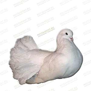 Голубь из керамики на памятник 91963