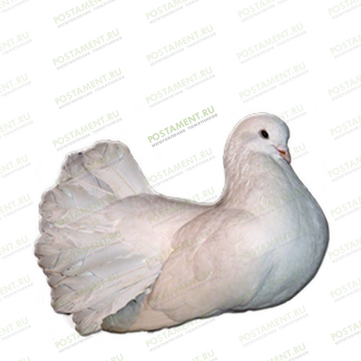Голубь из керамики на памятник 91963