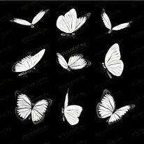 Бабочка 91108