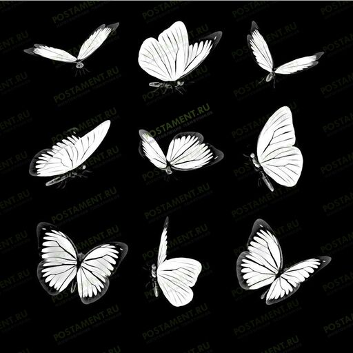 Примеры бабочек для гравировки на памятнике 91108
