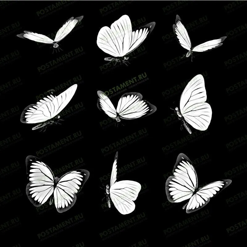 Примеры бабочек для гравировки на памятнике 91108