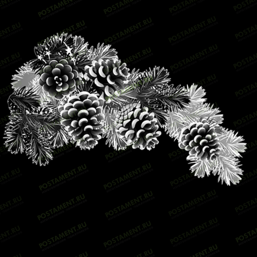 Сосновая ветвь на памятник для гравировки