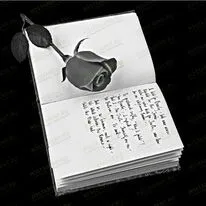 Книга с розой 91627