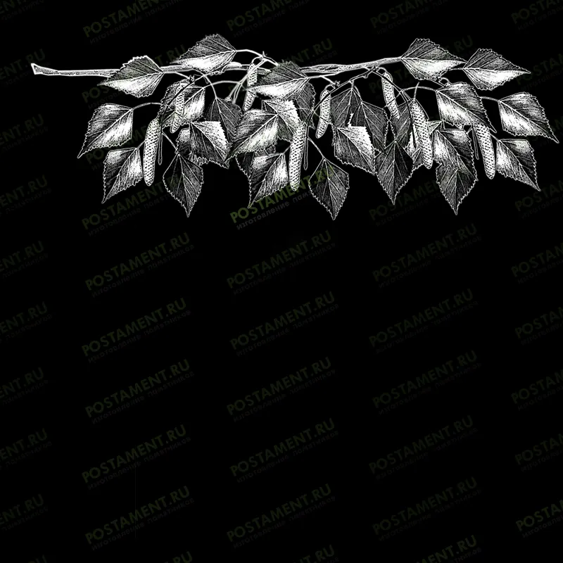 веточка березовая оформление надгробия