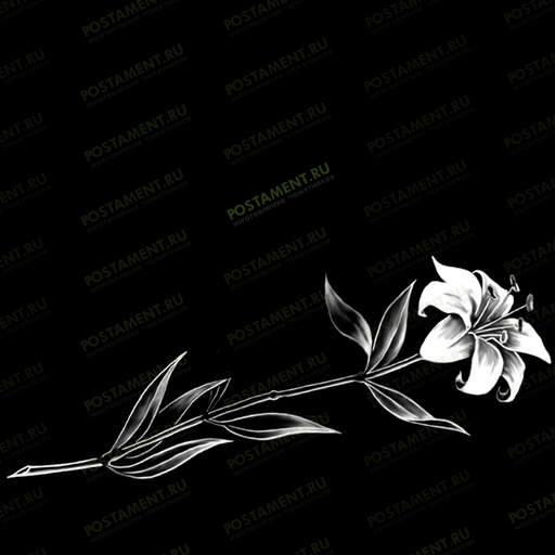 Гравировка лилий на памятник 91033