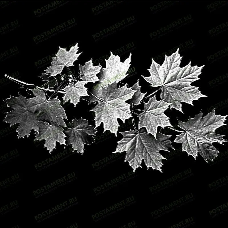 Кленовая веточка оформления мужского памятника