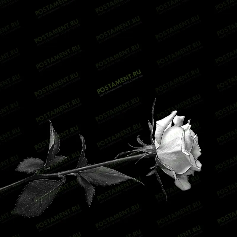 розочка на памятник распустившася 91001