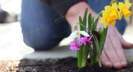 12 правил ухода за могилой и памятником