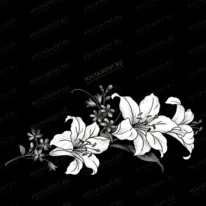 Букет лилий 91048