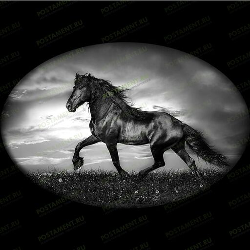 Гравировка лошади на гранитном памятнике 91134
