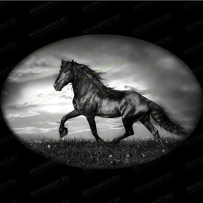 Гравировка лошади на гранитном памятнике 91134