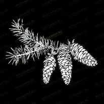 Веточка ели 95016