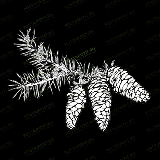 Веточка ели для обрамления памятника мужчине