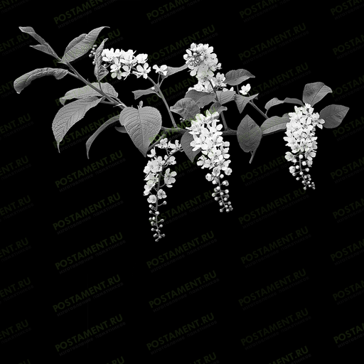 ветка сакуры оформление надгробия