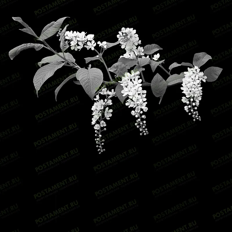 ветка сакуры оформление надгробия