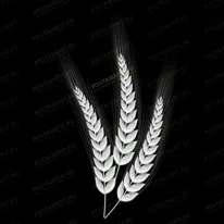 Колосья 95012