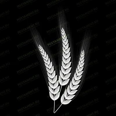 Колоски для оформления памятника 95012