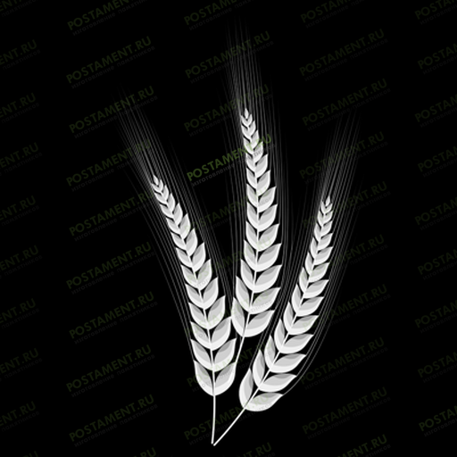 Колоски для оформления памятника 95012