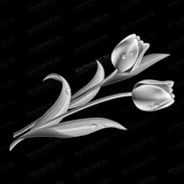 Тюльпаны 91050