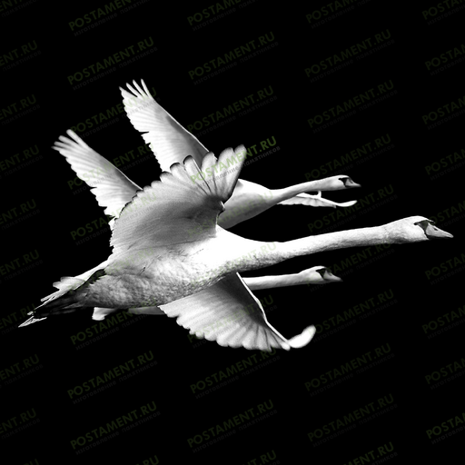 оформление на памятник гуси-лебеди 91153