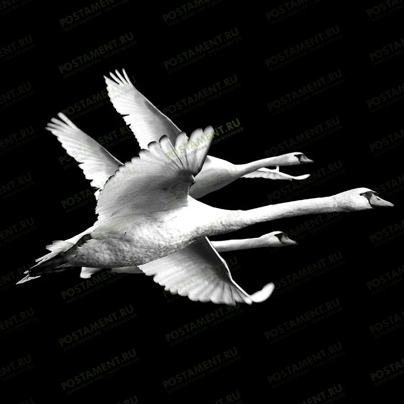 оформление на памятник гуси-лебеди 91153