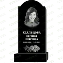 Рисунок 95319