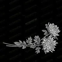 Хризантемы 91042