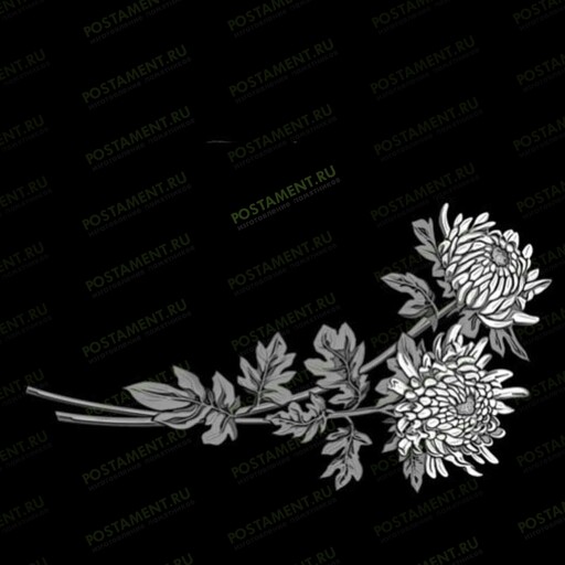 Хризантемы на памятник 91042