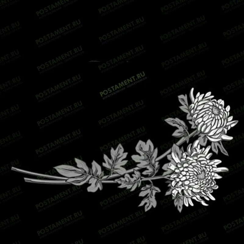 Хризантемы на памятник 91042