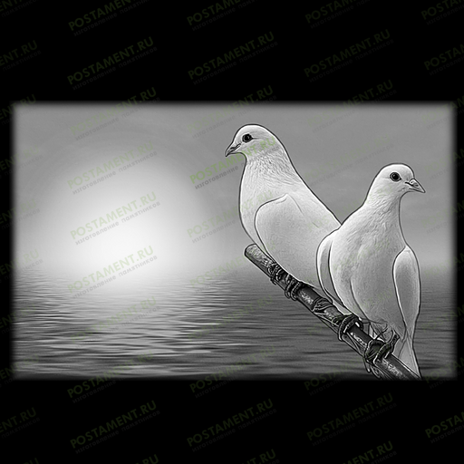 оформление на памятник голуби на ветке 91145