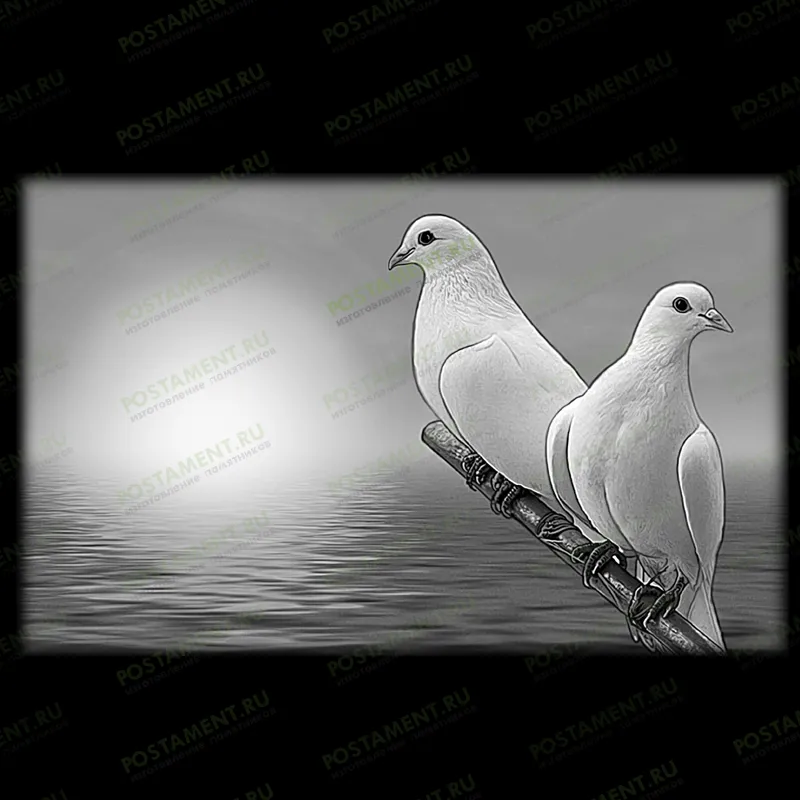 оформление на памятник голуби на ветке 91145