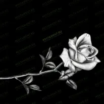 Розочка 91004