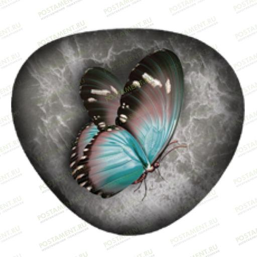 Бабочка из керамики на памятник 91978