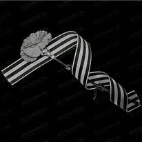 Георгиевская лента с гвоздикой 91511