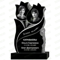 Рисунок 95351