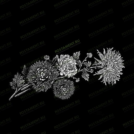 Астры на памятник 91043