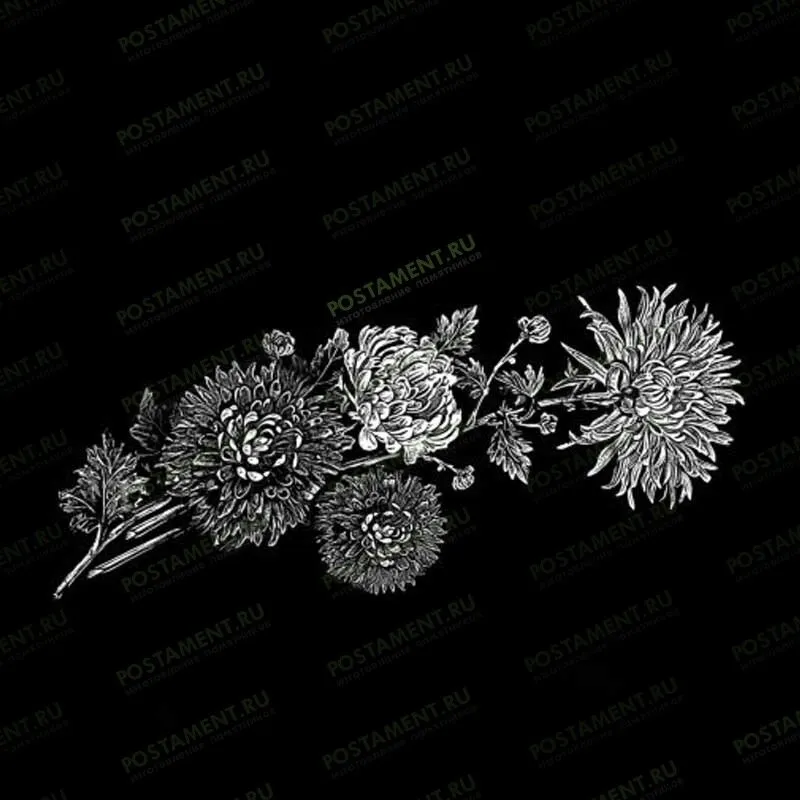 Астры на памятник 91043