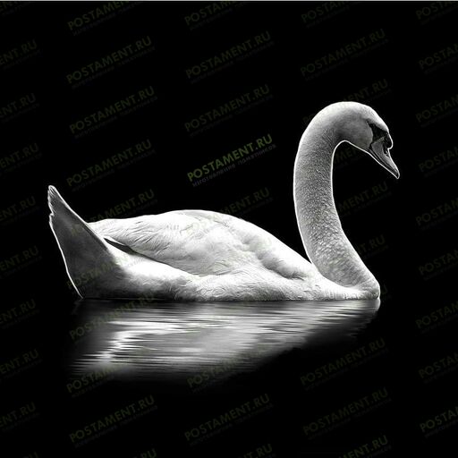 Изображение лебедя на гранитном памятнике 91112