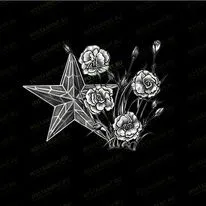 Звезда с цветами 91523